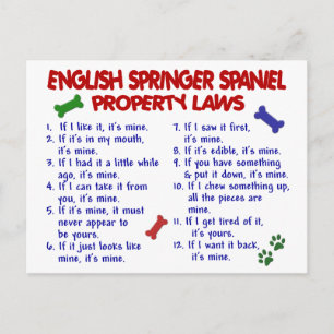 ENGELSE SPRINGER SPANIEL Eigendomwetten 2 Briefkaart