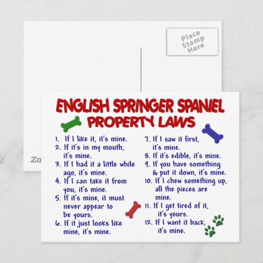 ENGELSE SPRINGER SPANIEL Eigendomwetten 2 Briefkaart (Voorkant / Achterkant)