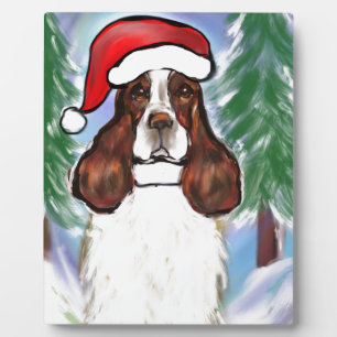 ENGELSE SPRINGER SPANIEL FOTOPLAAT