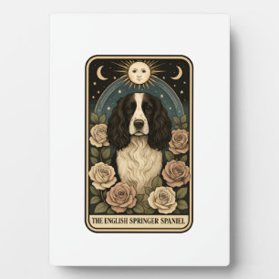 Engelse Springer Spaniel Fotoplaat