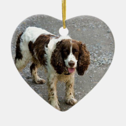 engelse springer spaniel full.png keramisch ornament (Voorkant)