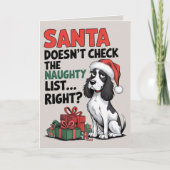 Engelse Springer Spaniel Funny Dog Christmas Kaart (Voorkant)