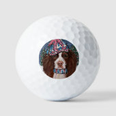 ENGELSE SPRINGER SPANIEL GOLFBALLEN (Voorkant)