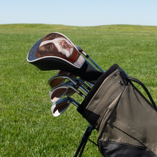 ENGELSE SPRINGER SPANIEL GOLFHEADCOVER (Insitu)