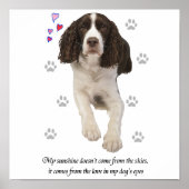 Engelse Springer Spaniel Hond Poster (Voorkant)