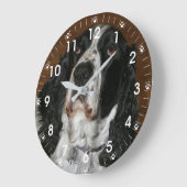 Engelse Springer Spaniel huisdier foto Grote Klok (Hoek)