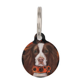 Engelse Springer Spaniel        Huisdierpenning