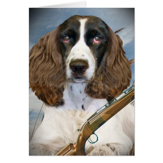 Engelse Springer Spaniel Hunts (Voorkant)