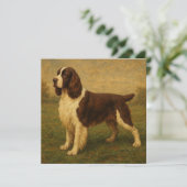 Engelse Springer Spaniel Kaart (Staand voorkant)
