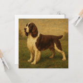 Engelse Springer Spaniel Kaart (Voorkant / Achterkant in situ)
