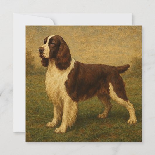 Engelse Springer Spaniel Kaart (Voorkant)
