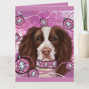ENGELSE SPRINGER SPANIEL        KAART