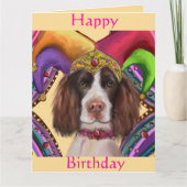 ENGELSE SPRINGER SPANIEL  KAART (Voorkant)