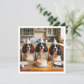 Engelse Springer Spaniel kaart, Spaniel verjaardag Kaart (Staand voorkant)