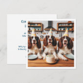Engelse Springer Spaniel kaart, Spaniel verjaardag Kaart (Voorkant / Achterkant)