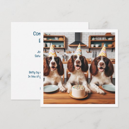 Engelse Springer Spaniel kaart, Spaniel verjaardag Kaart (Voorkant / Achterkant)