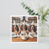 Engelse Springer Spaniel kaart, Spaniel verjaardag Kaart (Staand voorkant)