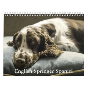 Engelse Springer Spaniel Kalender