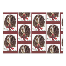 Engelse Springer Spaniel Kerstmis