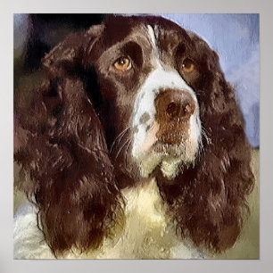 Engelse Springer Spaniel Kunst Cadeaus Poster