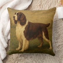 Engelse Springer Spaniel