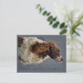 Engelse Springer Spaniel Lever & Wit Opzoeken Briefkaart (Staand voorkant)
