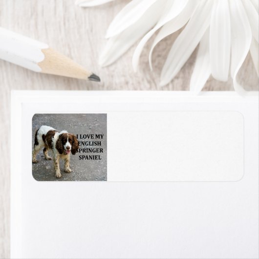 Engelse Springer Spaniel Lw Love W Picc Etiket (Insitu)