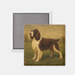 Engelse Springer Spaniel Magneet