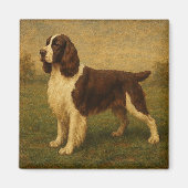 Engelse Springer Spaniel Magneet (Voorkant)