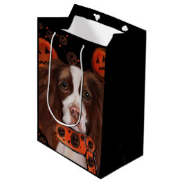 Engelse Springer Spaniel        Medium Cadeauzakje