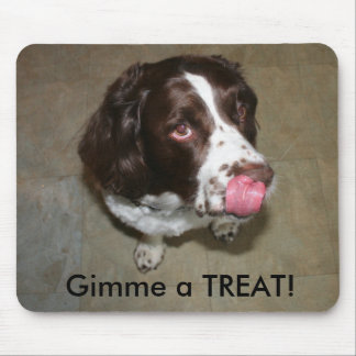 Engelse Springer Spaniel, Otis wil een Treat. Muismat