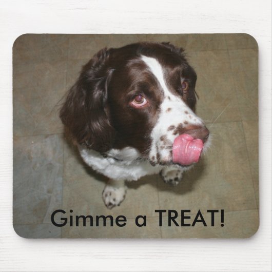 Engelse Springer Spaniel, Otis wil een Treat. Muismat (Voorkant)