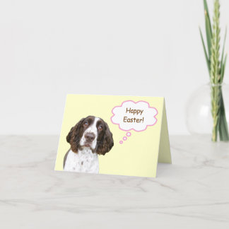 Engelse Springer Spaniel Paas Kaart