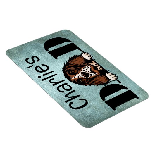 Engelse Springer Spaniel Peeking Personeelsvader Magneet (Rechterzijde)