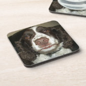 Engelse Springer Spaniel Pet Foto Bier Onderzetter (Linkerzijde)