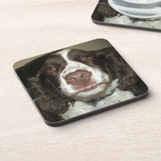 Engelse Springer Spaniel Pet Foto Bier Onderzetter (Linkerzijde)
