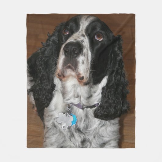 Engelse Springer Spaniel Pet Foto Fleece Deken (Voorkant)