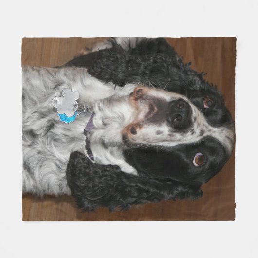Engelse Springer Spaniel Pet Foto Fleece Deken (Voorkant (Horizontaal))