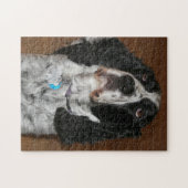 Engelse Springer Spaniel Pet Foto Legpuzzel (Horizontaal)