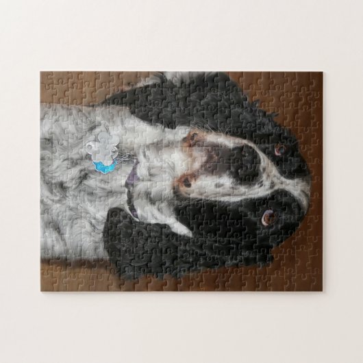 Engelse Springer Spaniel Pet Foto Legpuzzel (Horizontaal)