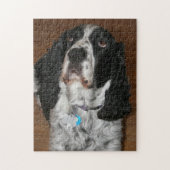 Engelse Springer Spaniel Pet Foto Legpuzzel (Verticaal)