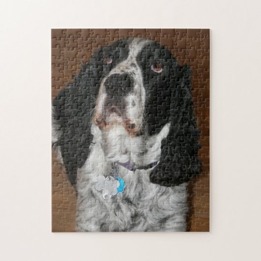 Engelse Springer Spaniel Pet Foto Legpuzzel (Verticaal)