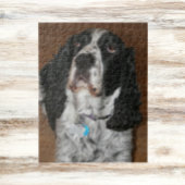 Engelse Springer Spaniel Pet Foto Legpuzzel