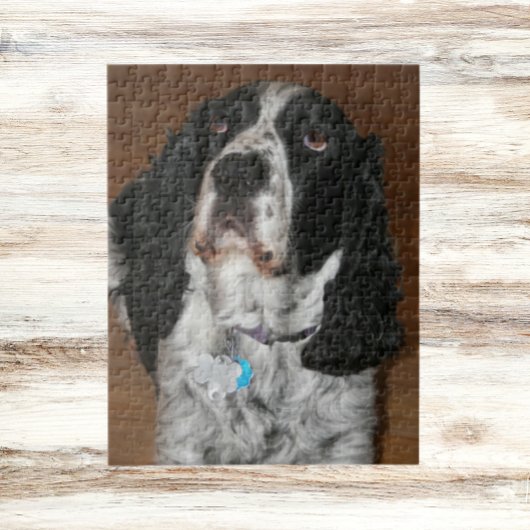 Engelse Springer Spaniel Pet Foto Legpuzzel