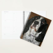 Engelse Springer Spaniel Pet Foto Planner (Display)