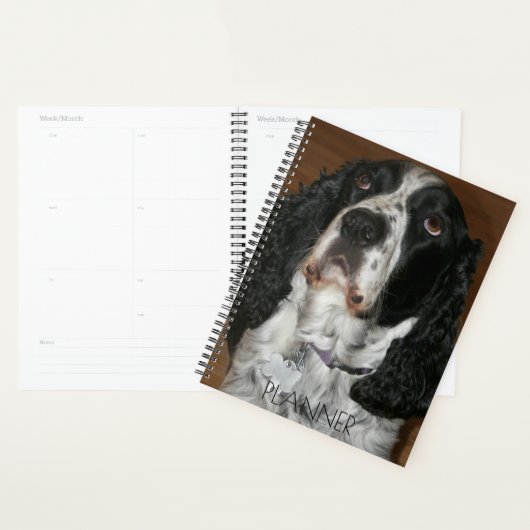 Engelse Springer Spaniel Pet Foto Planner (Display)