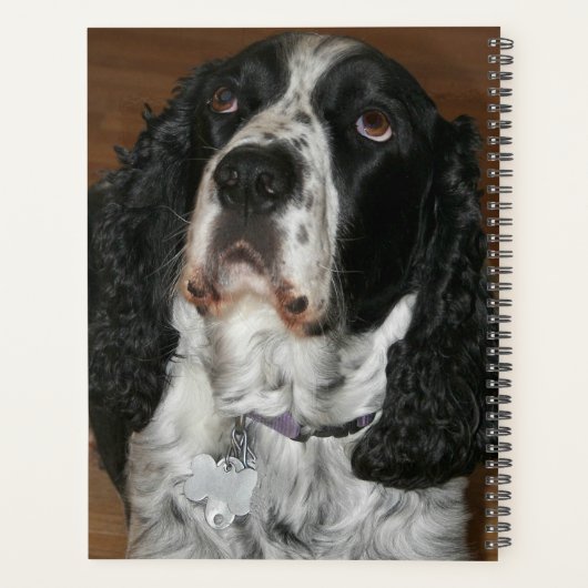 Engelse Springer Spaniel Pet Foto Planner (Achterkant)