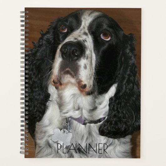 Engelse Springer Spaniel Pet Foto Planner (Voorkant)