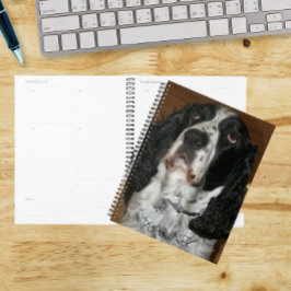 Engelse Springer Spaniel Pet Foto Planner