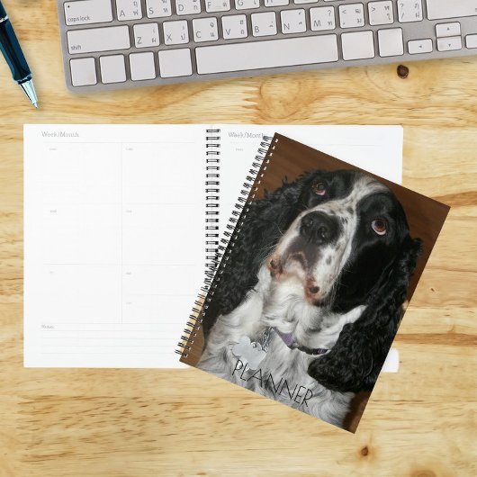 Engelse Springer Spaniel Pet Foto Planner